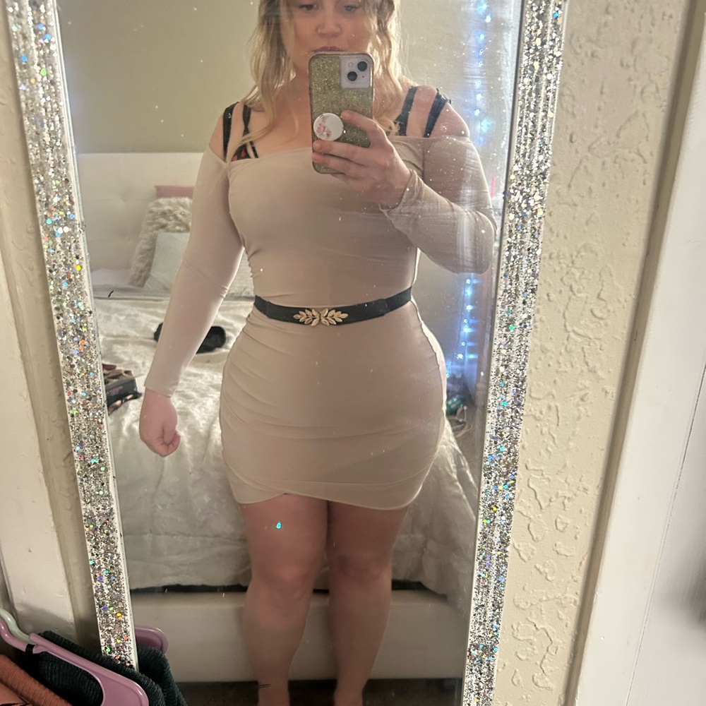 BNWT PrettyLittleThing Blush Long Sleeve Dress